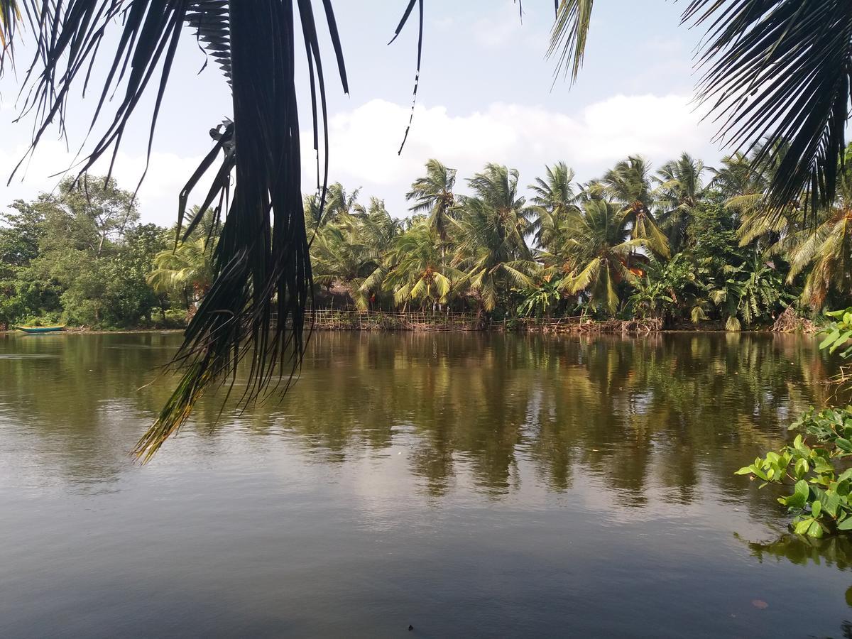 Ishitha Homestay Tangalle Eksteriør billede