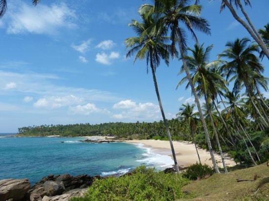 Ishitha Homestay Tangalle Eksteriør billede
