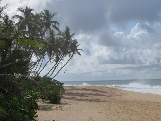 Ishitha Homestay Tangalle Eksteriør billede