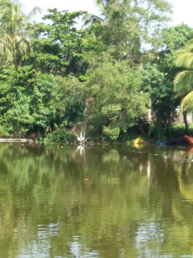 Ishitha Homestay Tangalle Eksteriør billede